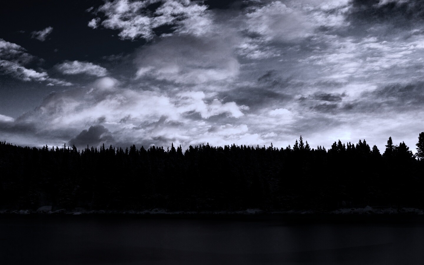 Лес на озере обои