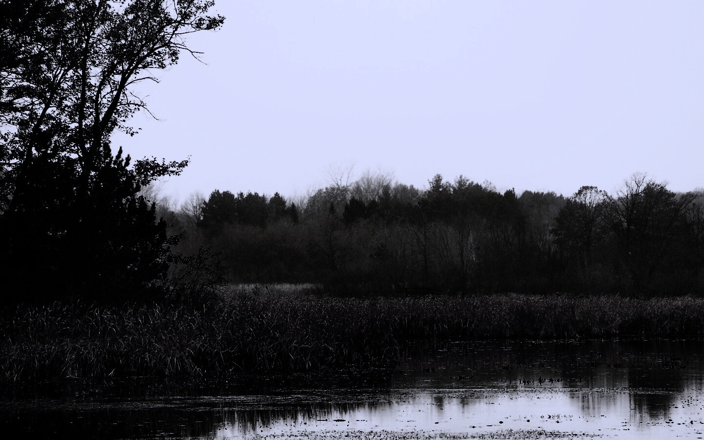 Живописные болота обои