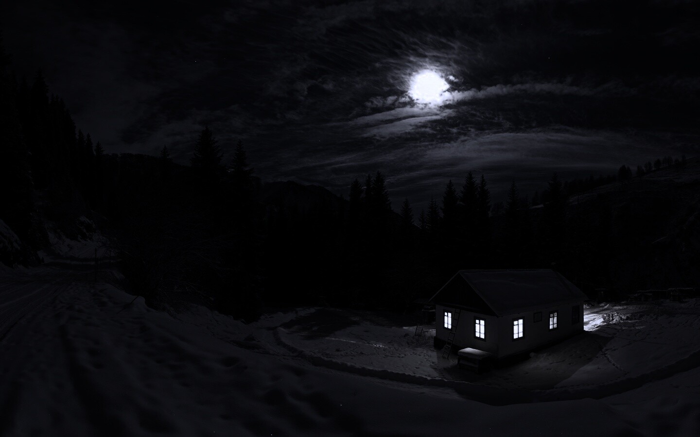 Один в зимнем лесу обои