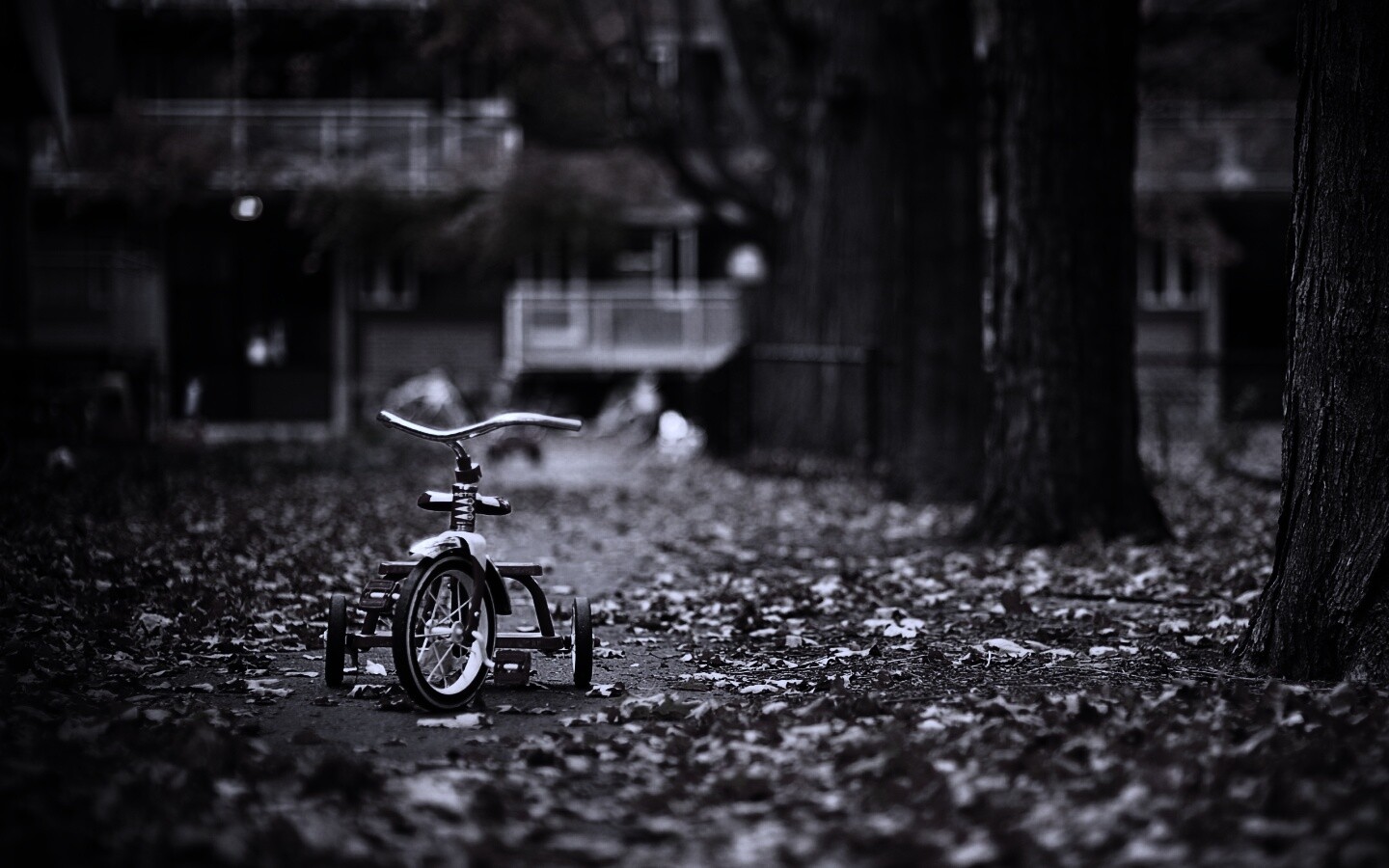 Трёхколёсный друг на осенней дорожке обои