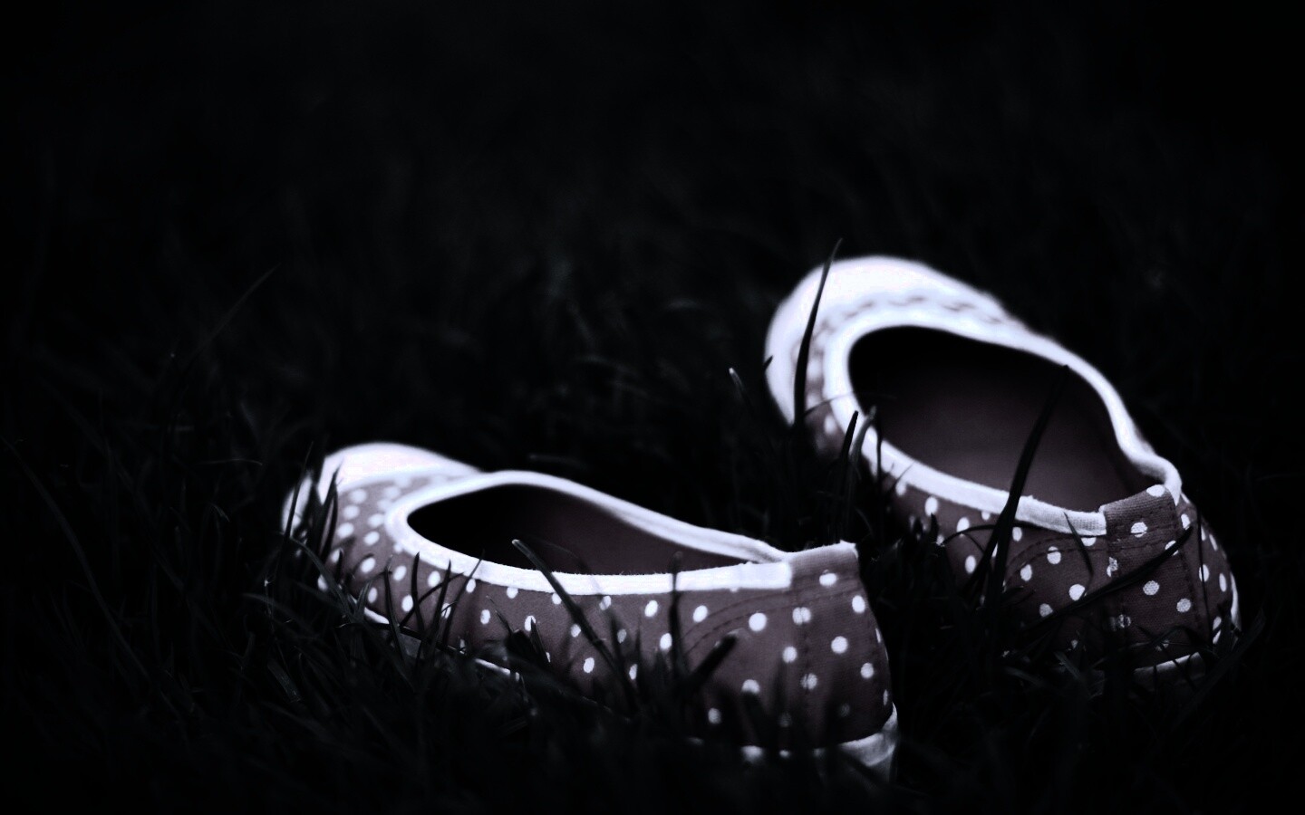 Красные тапки в горошек обои