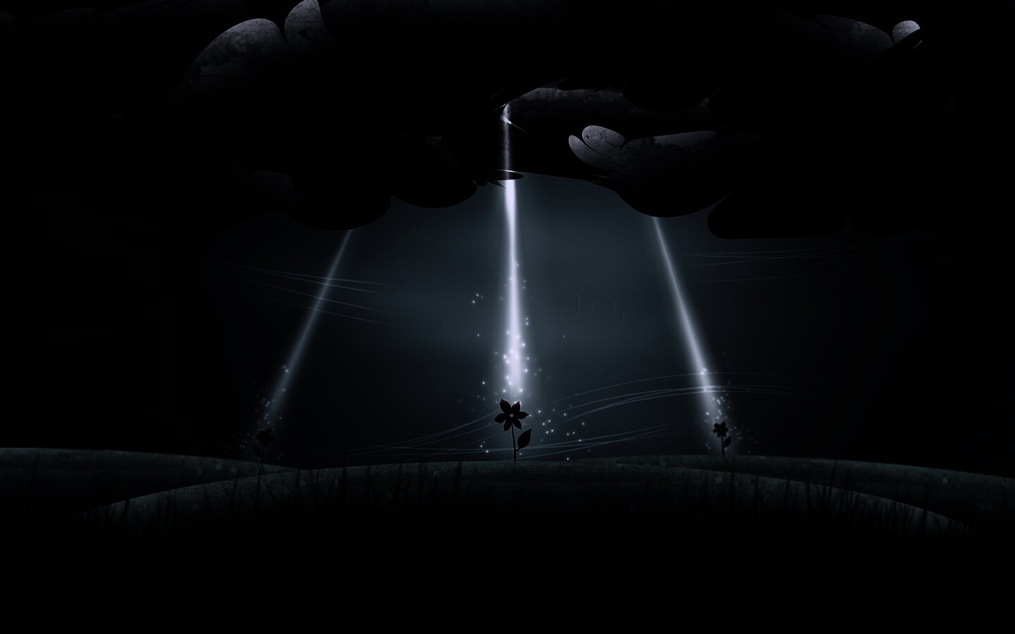 Свет для цветов обои