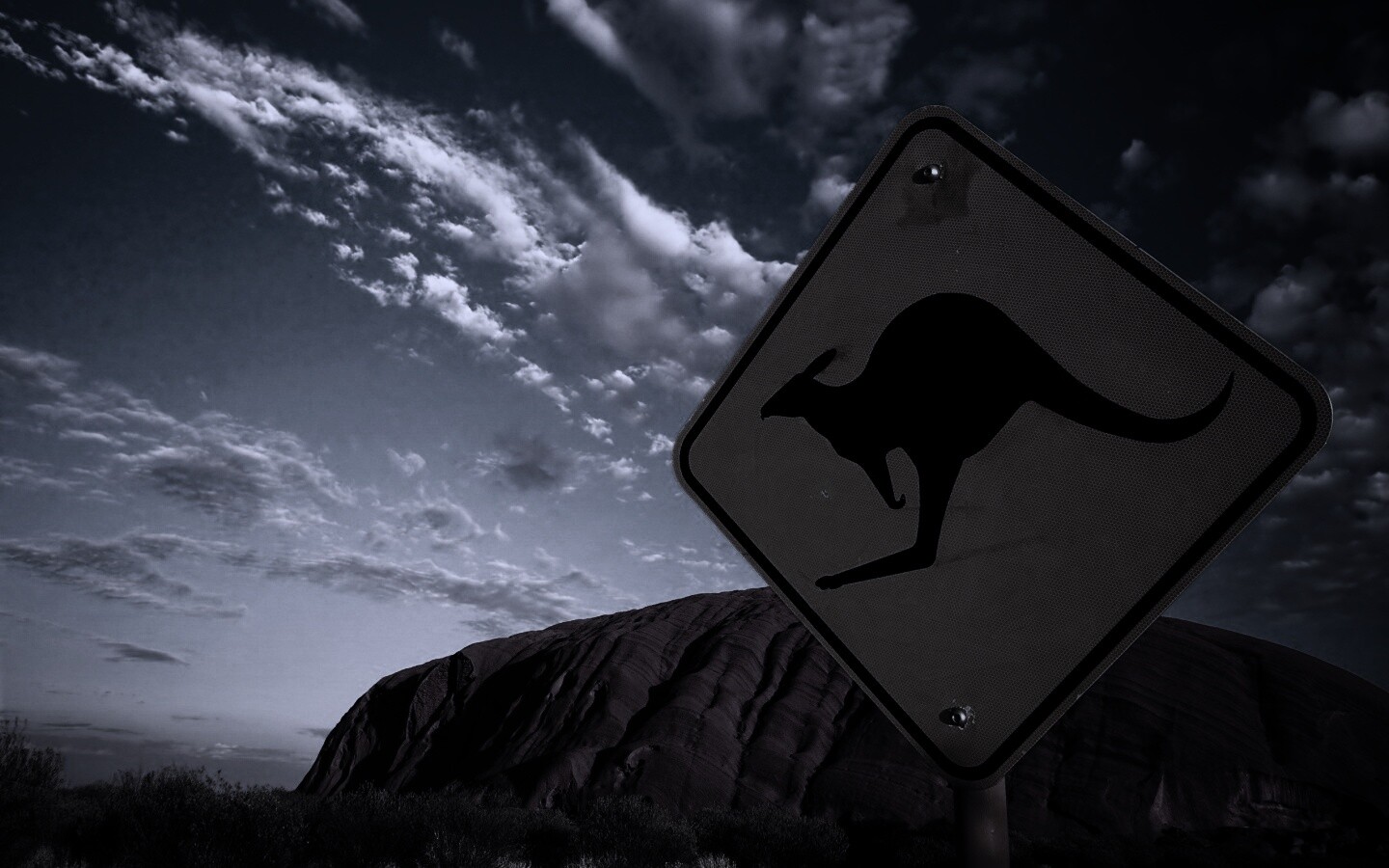 Осторожно, кенгуру! обои