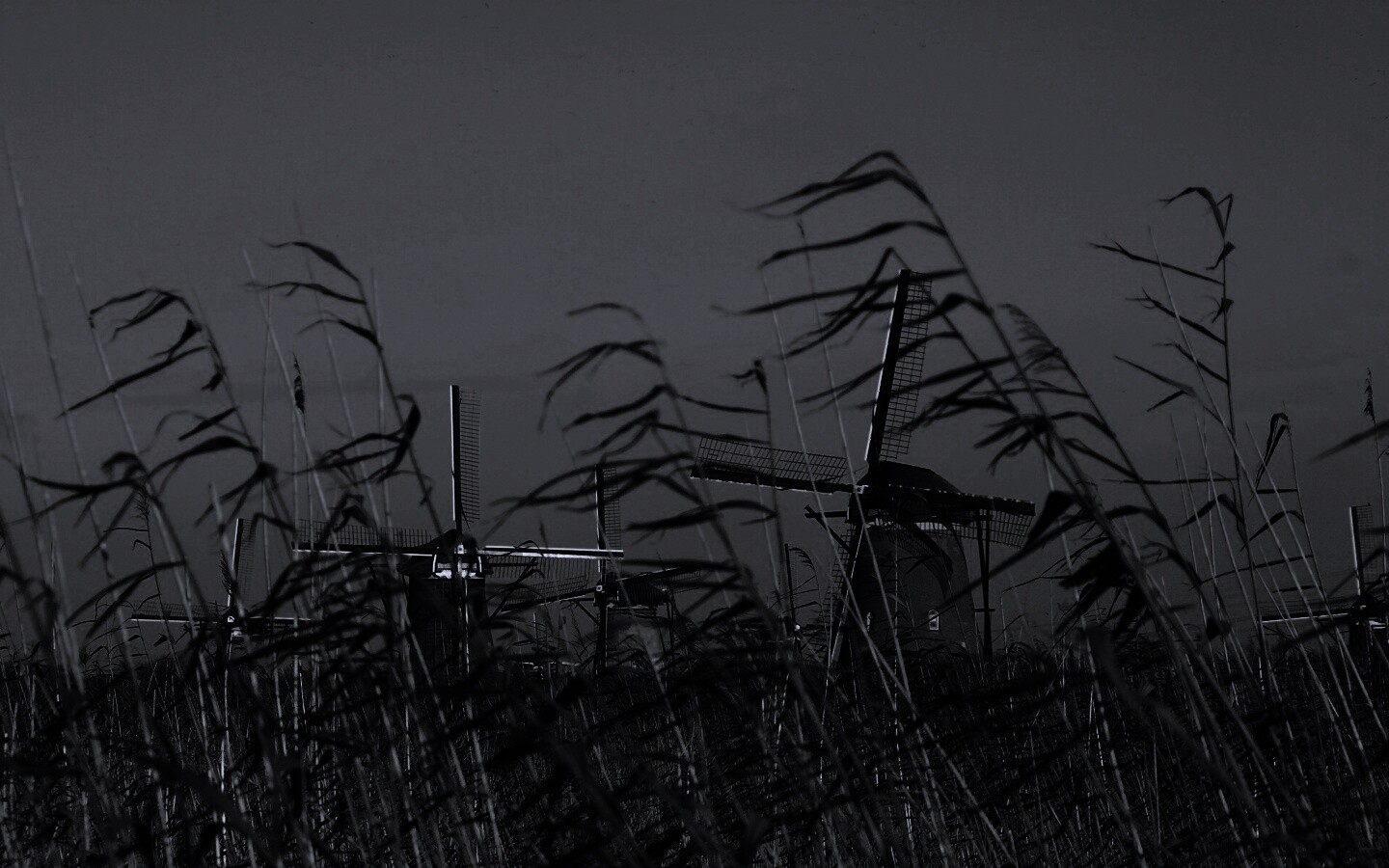 Мельницы обои