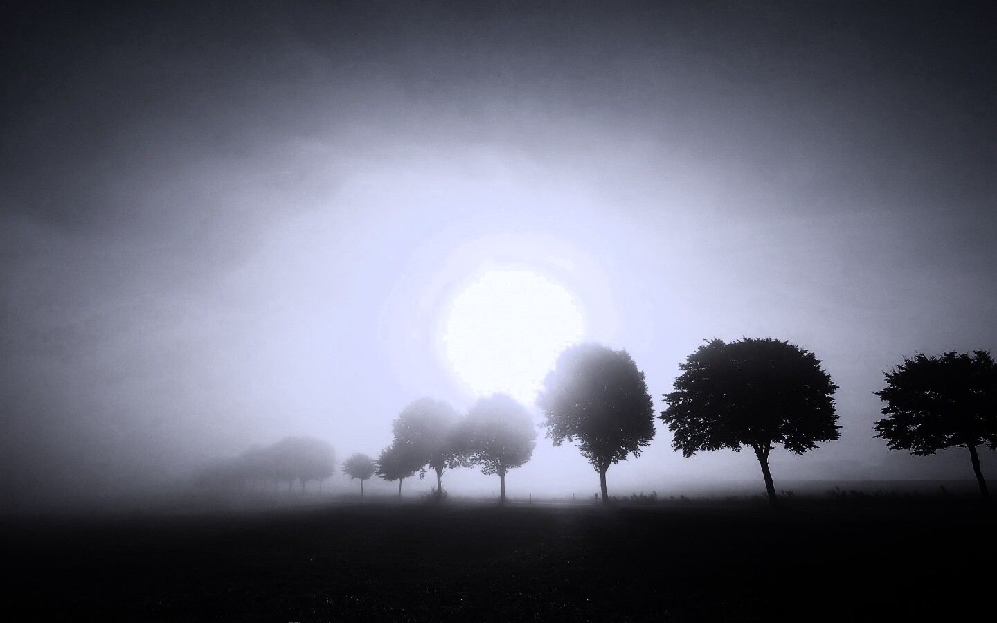 Деревья в поле обои