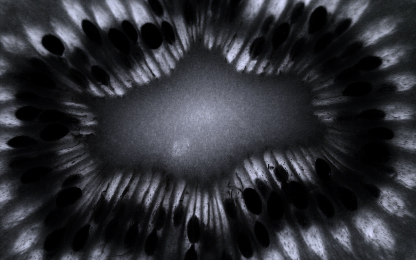 Макро фото киви в разрезе обои