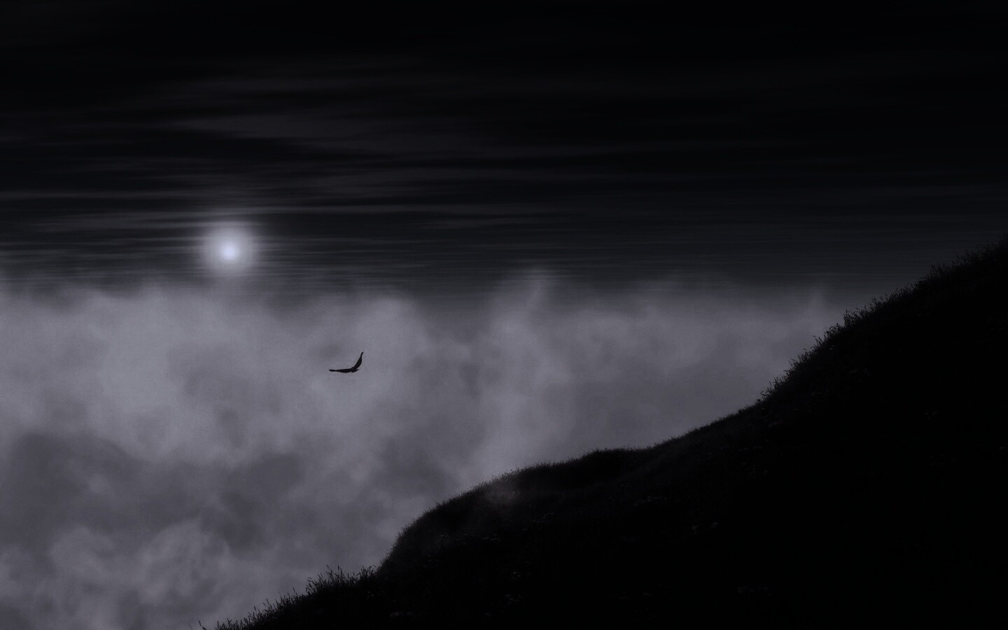 Птица парит над туманом обои