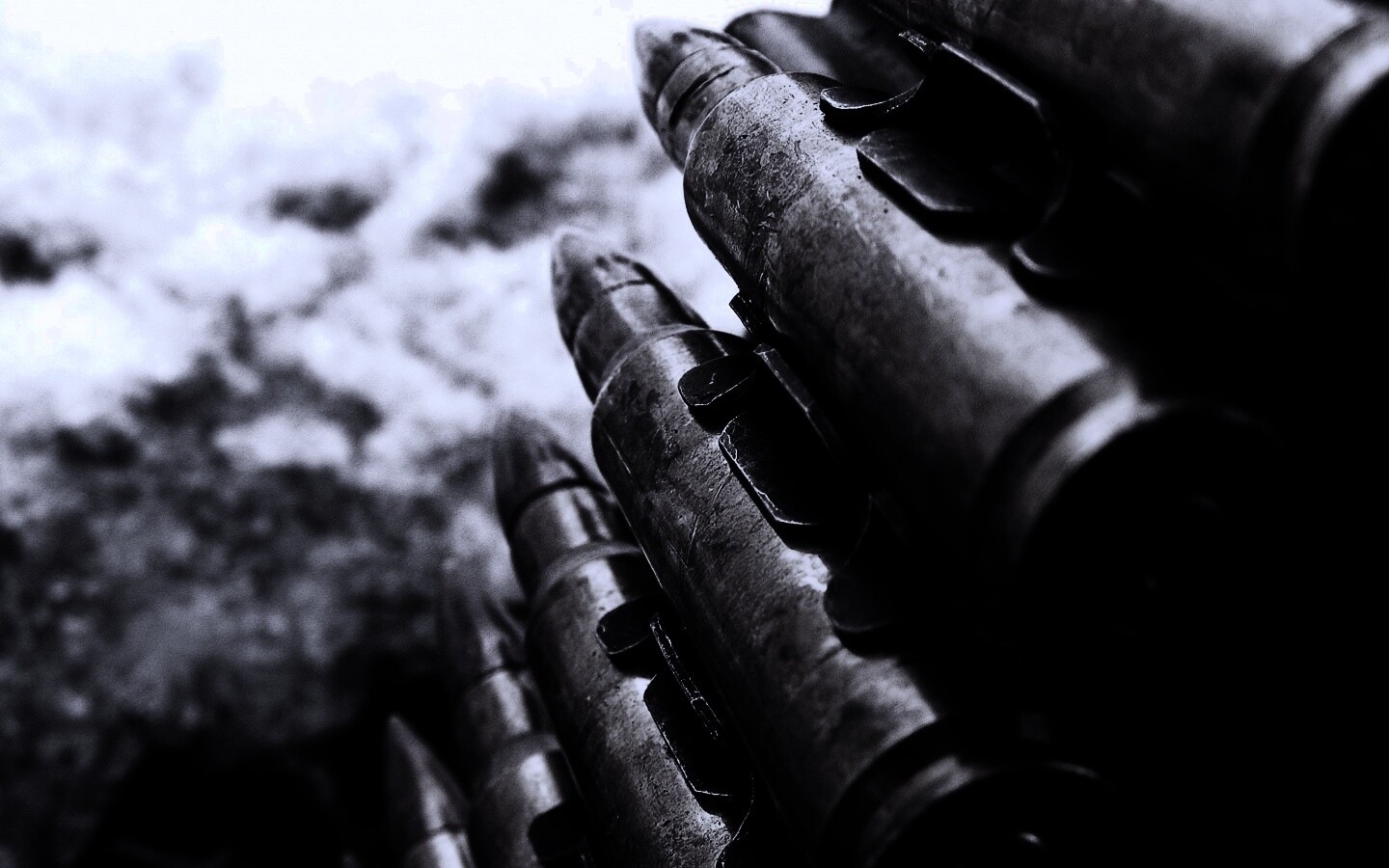 Патронник обои