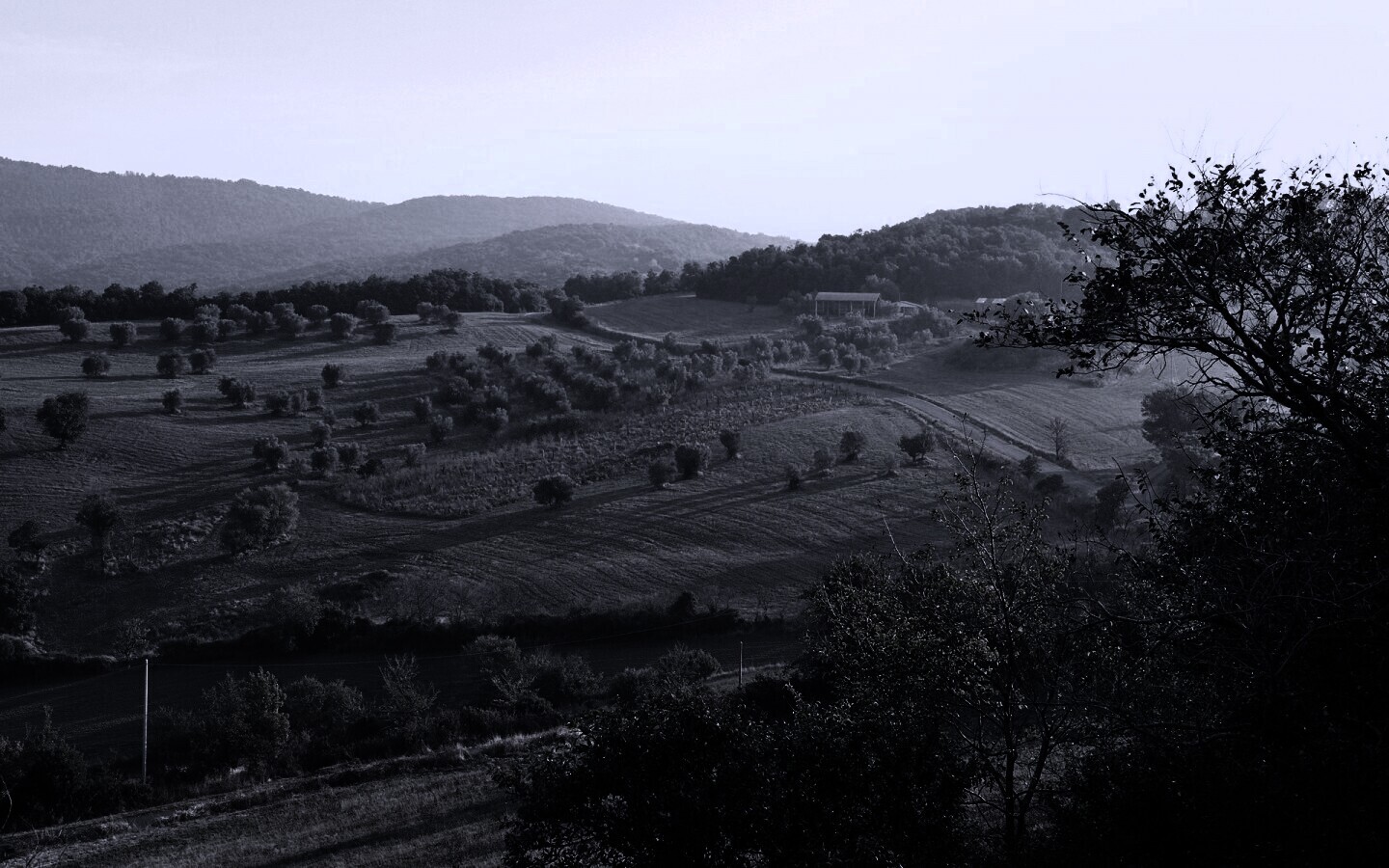 Ферма в долине обои