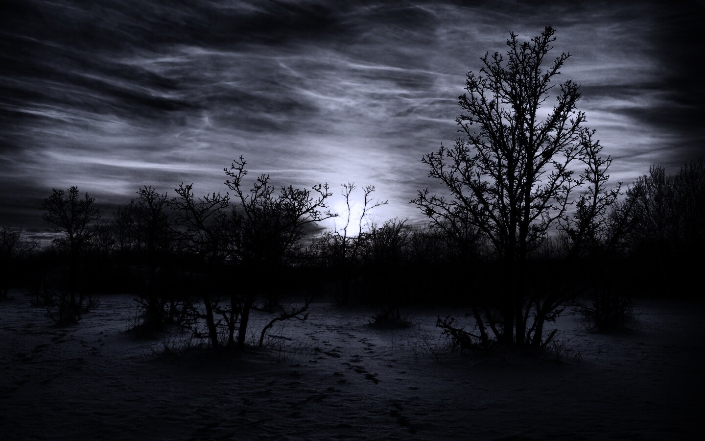 Закат в зимнем лесу обои