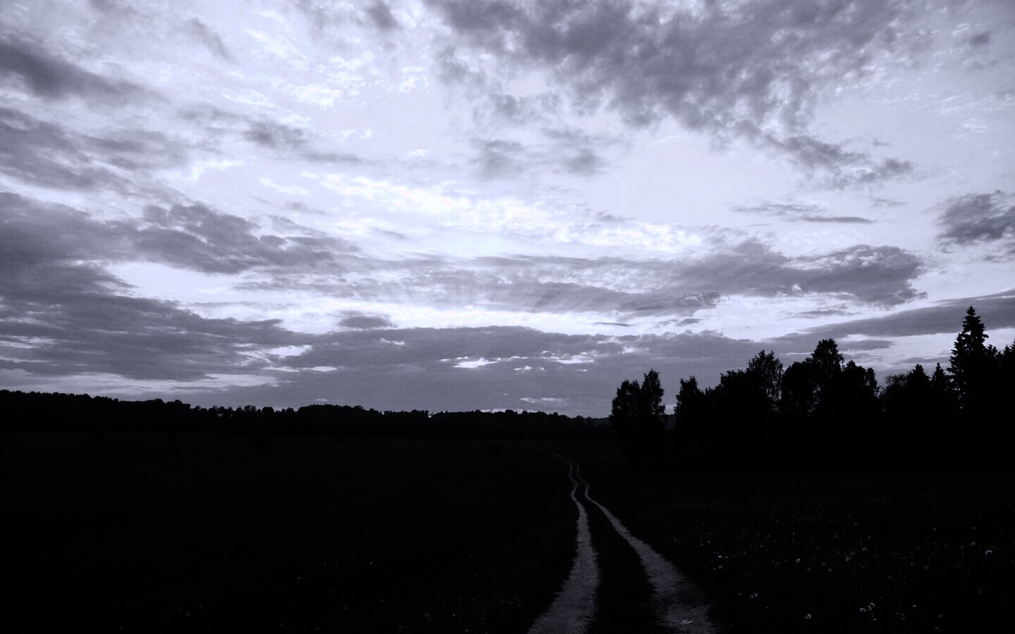 Дорога к лесу обои