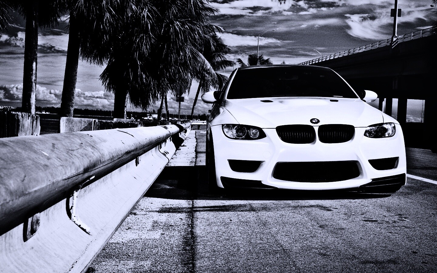 BMW в тропиках обои