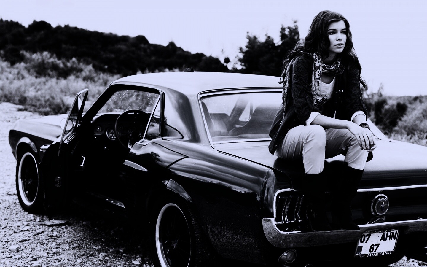 Девушка на мустанге обои