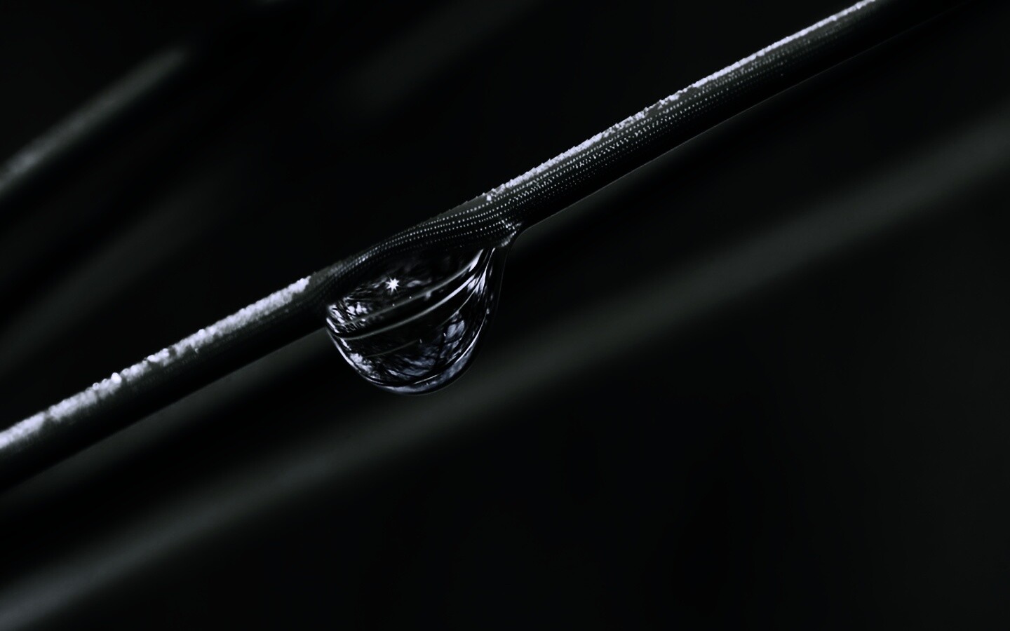 Капелька воды на стебле обои