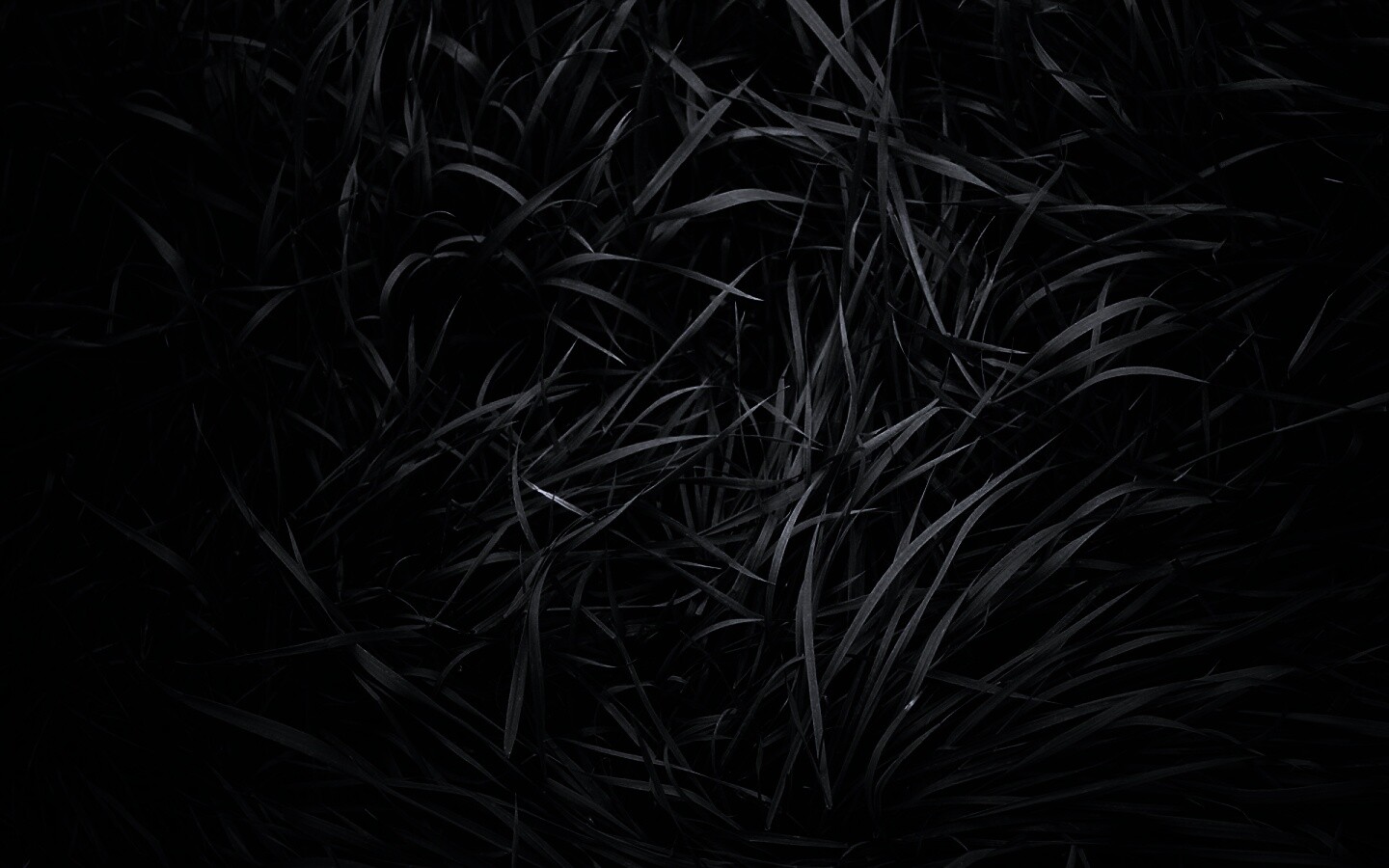 Блеклая трава обои