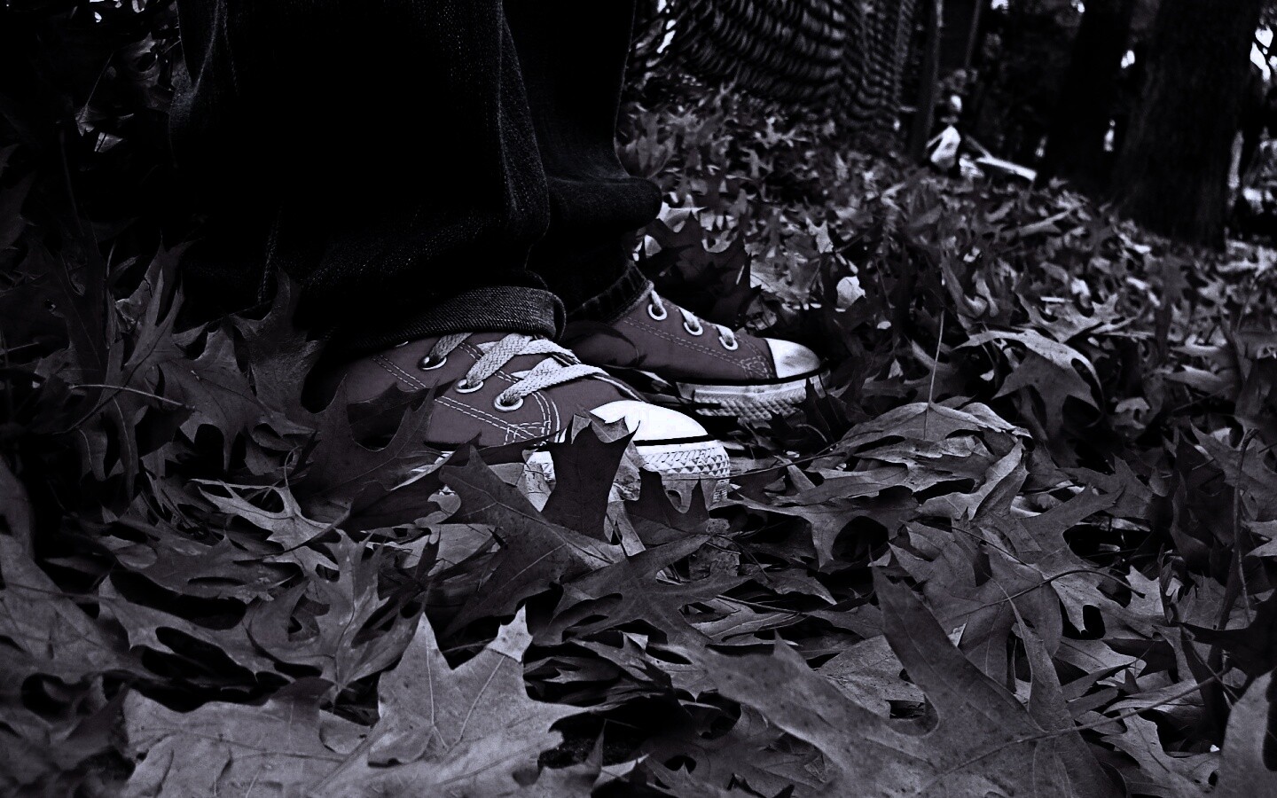 Оранжевые кеды обои