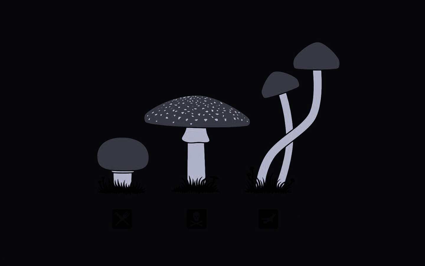 Грибочки обои