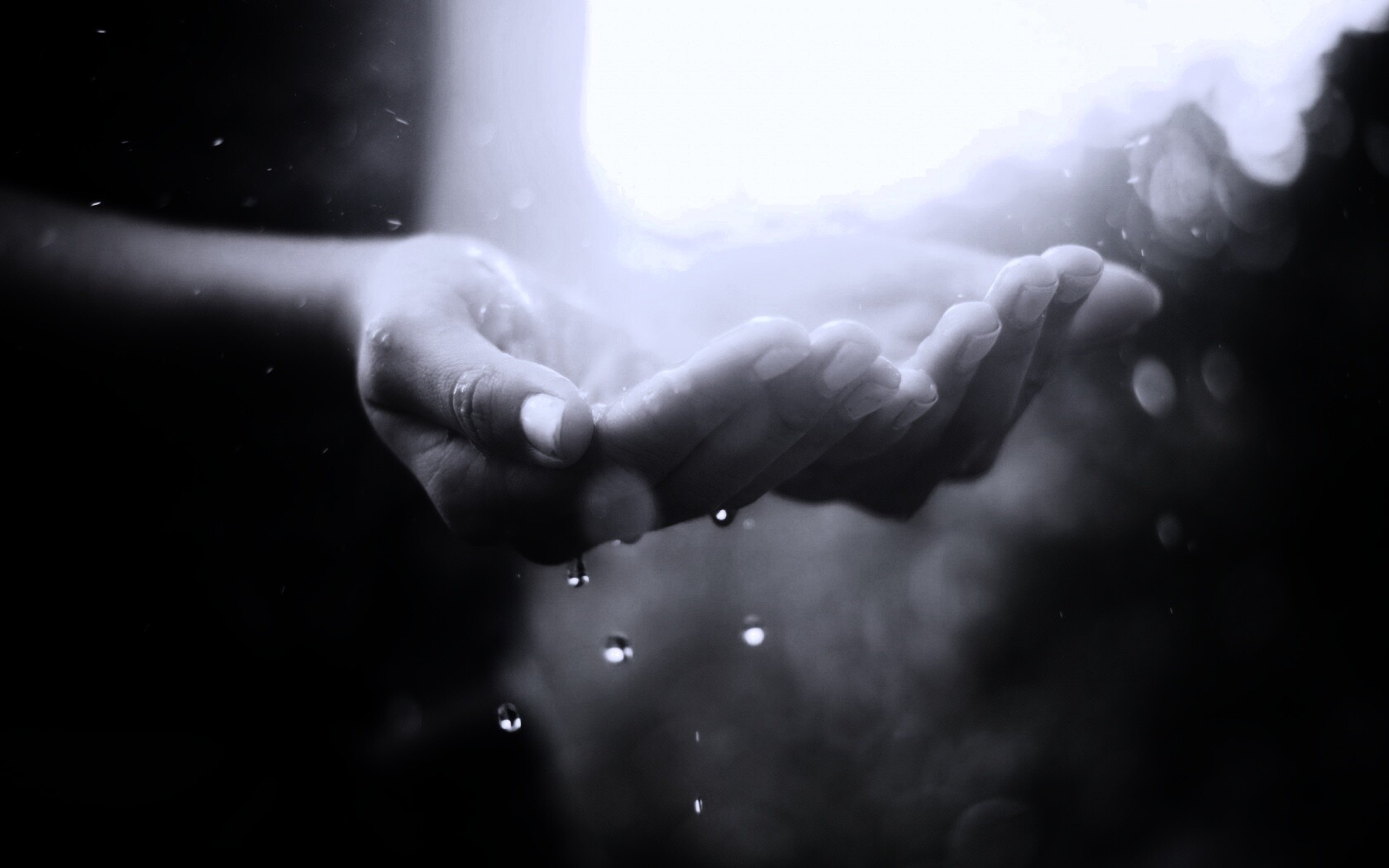 Дождь в ладонях обои