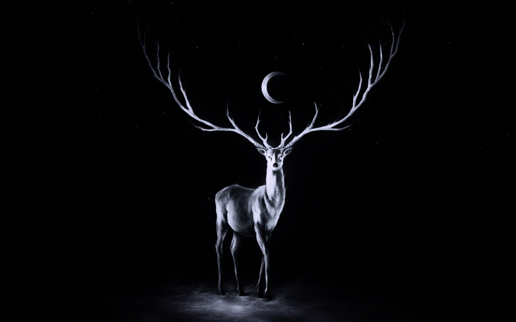 Олень в лунном свете обои