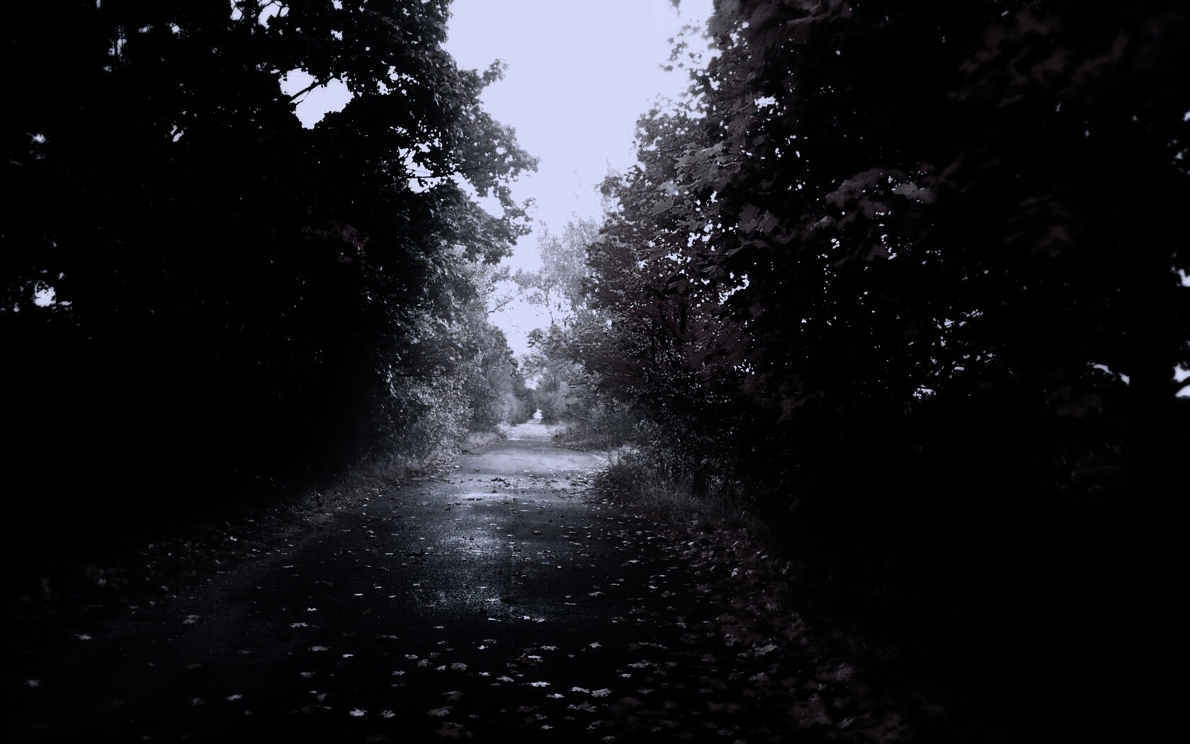 Желтая дорога обои