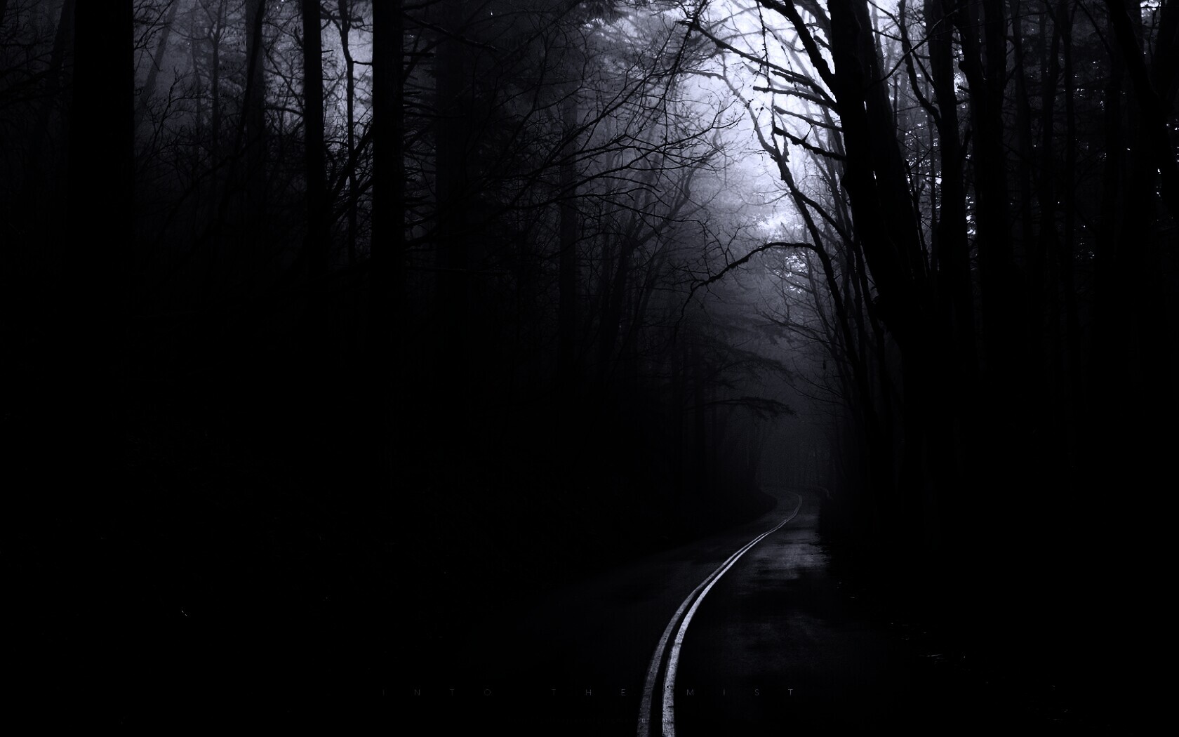 В туман обои