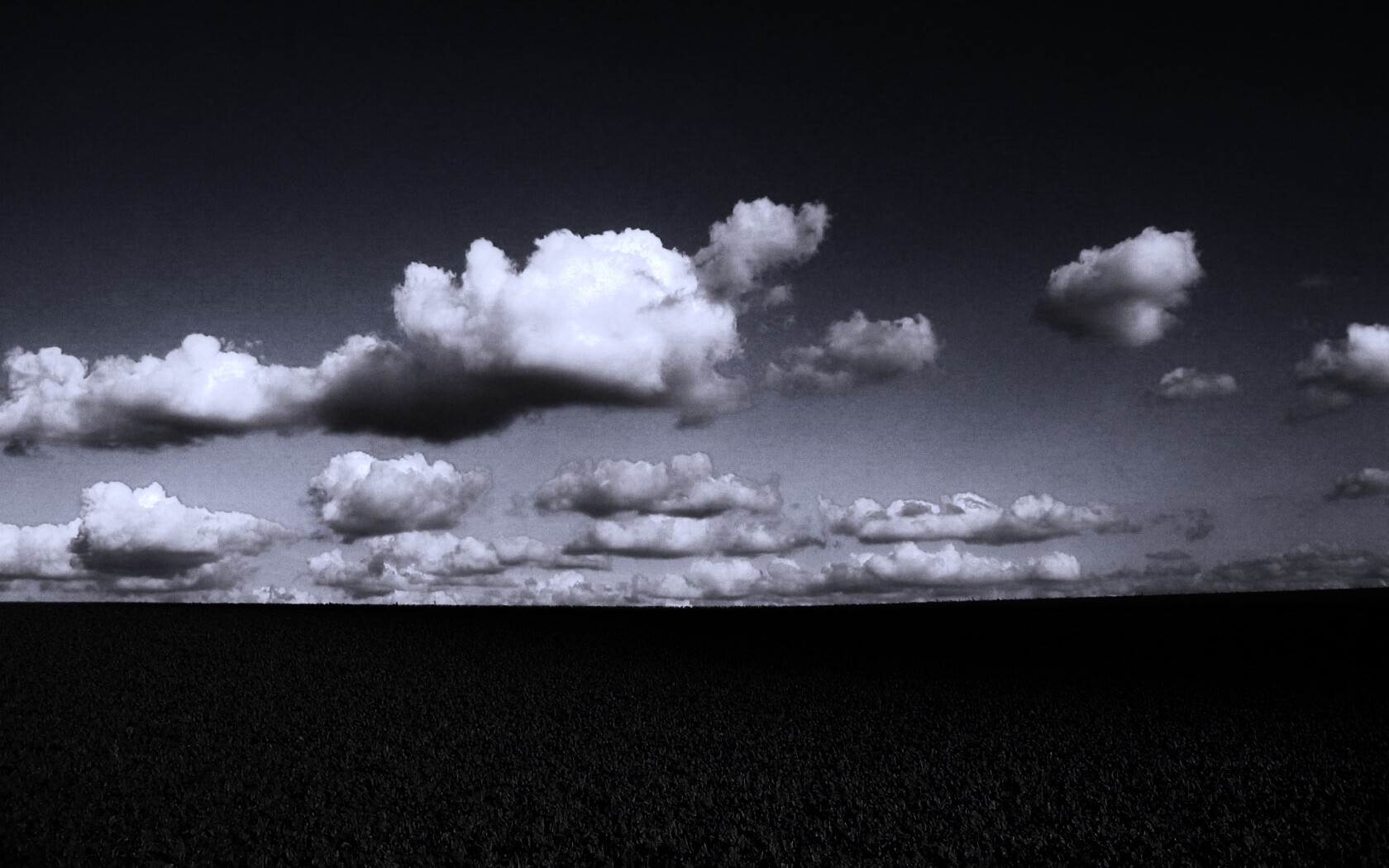 Обака над бескрайними полями обои