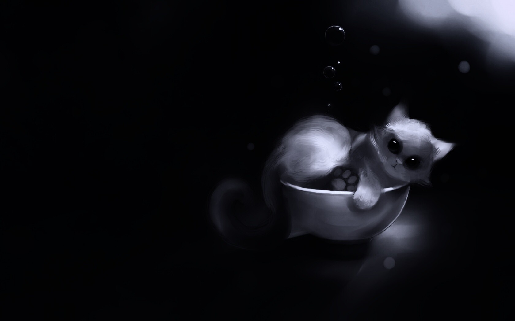 Котёнок в миске обои