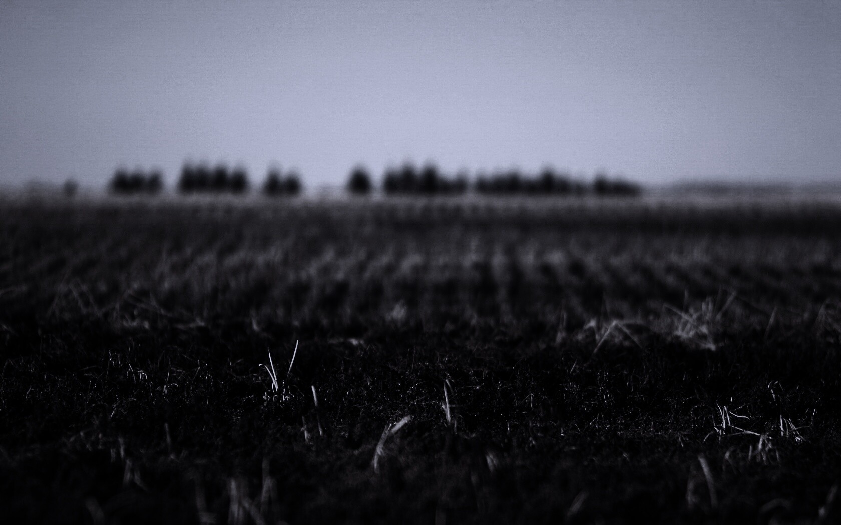 Поле перед вспашкой обои