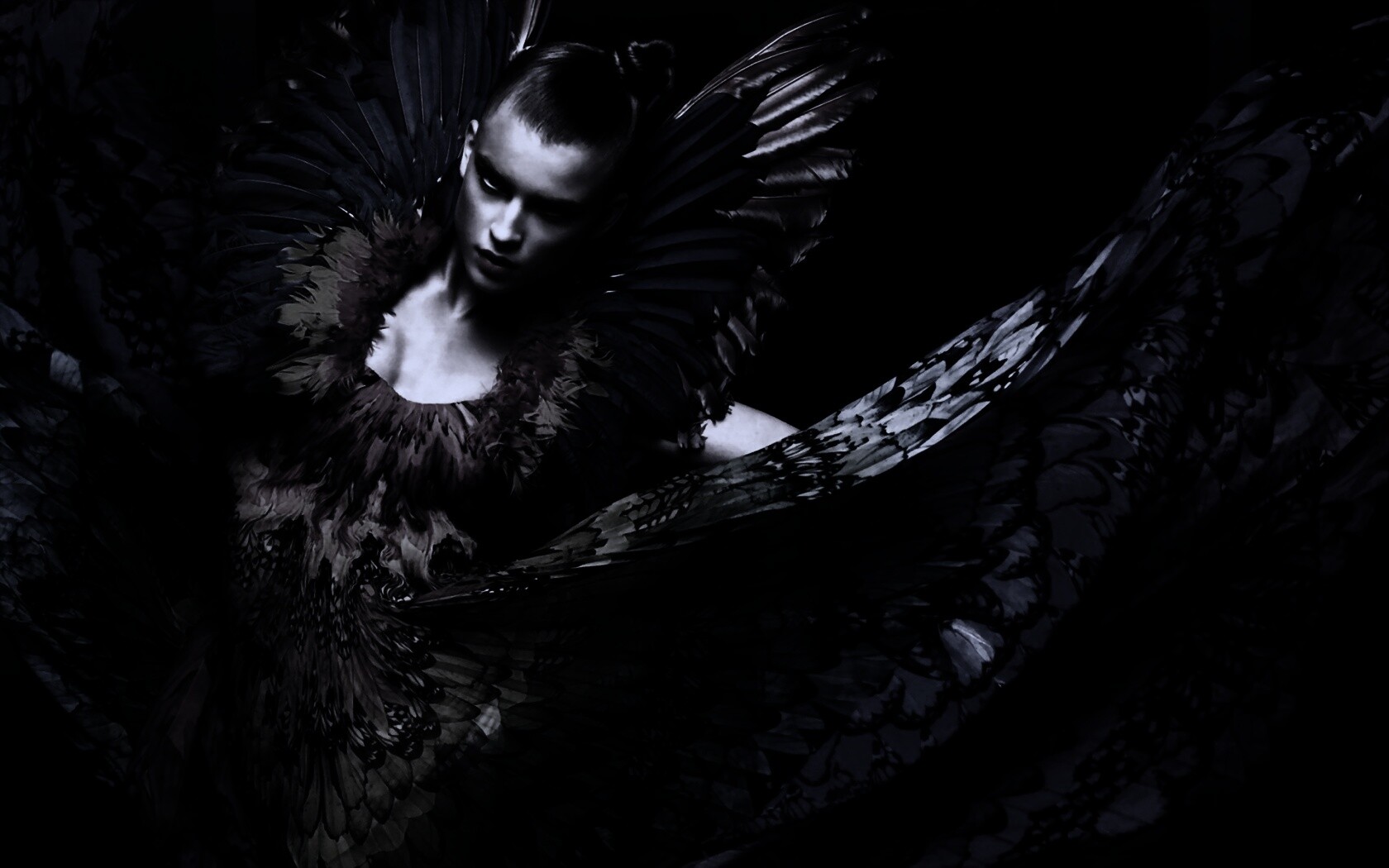 Костюм жар птицы обои