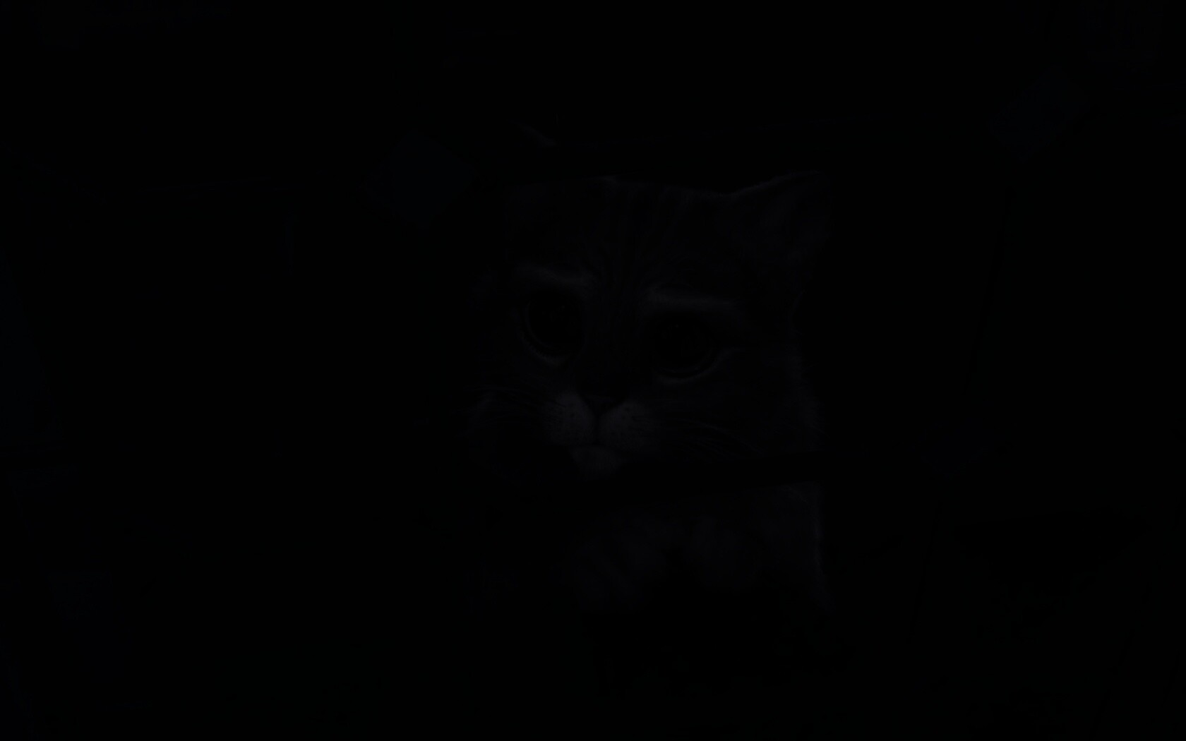 Кот в сапогах обои