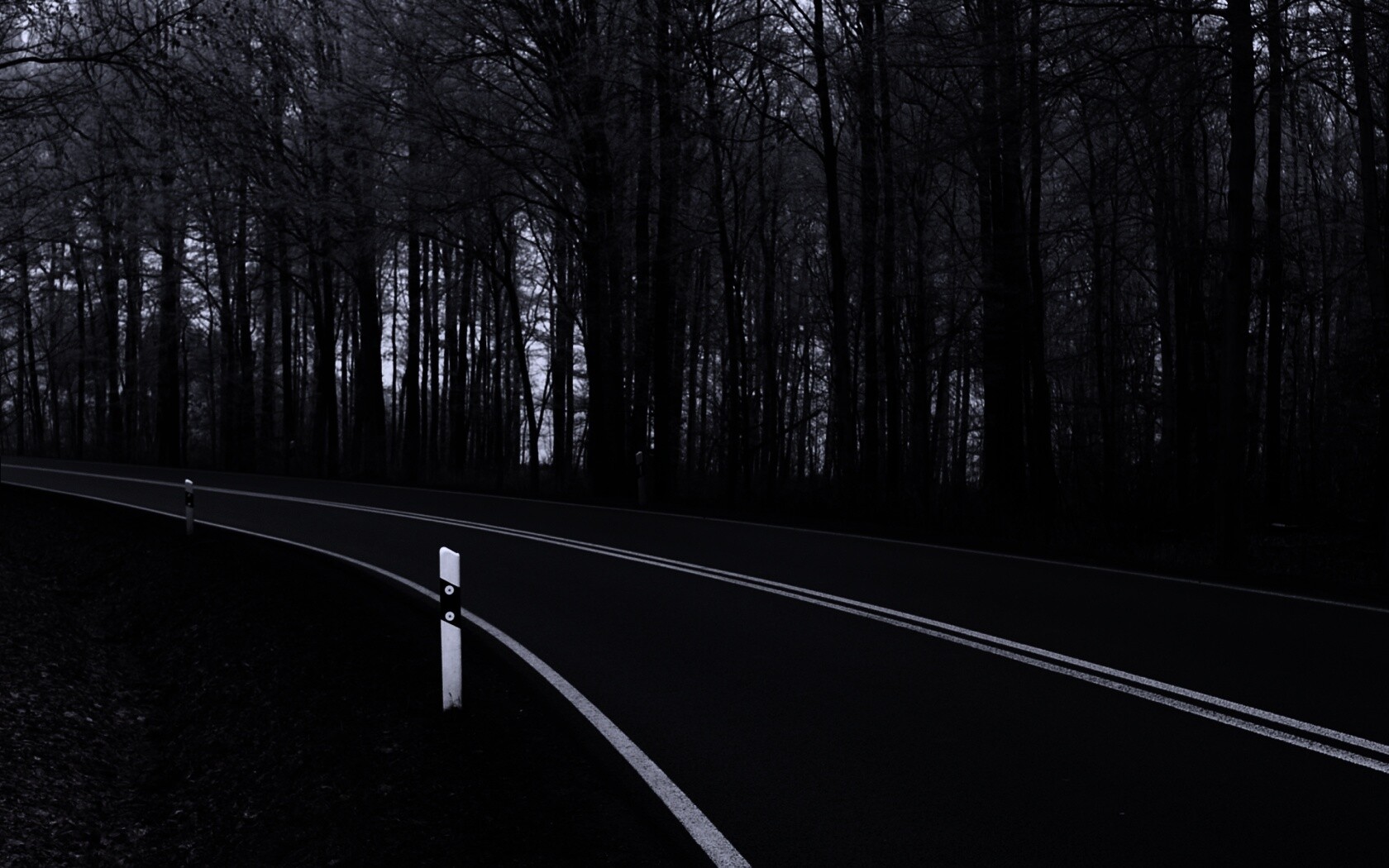 Дорога в осеннем лесу обои