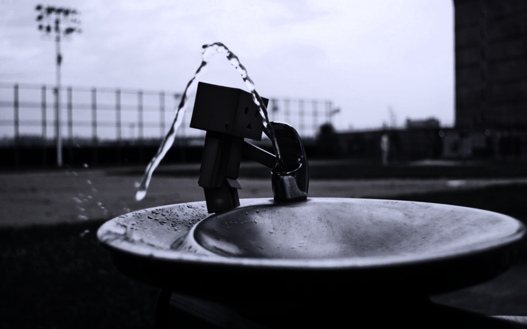 Дандо пьет в воду из фонтанчика обои