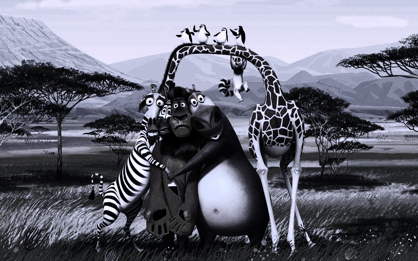 Герои мультфильма Мадагаскар обои