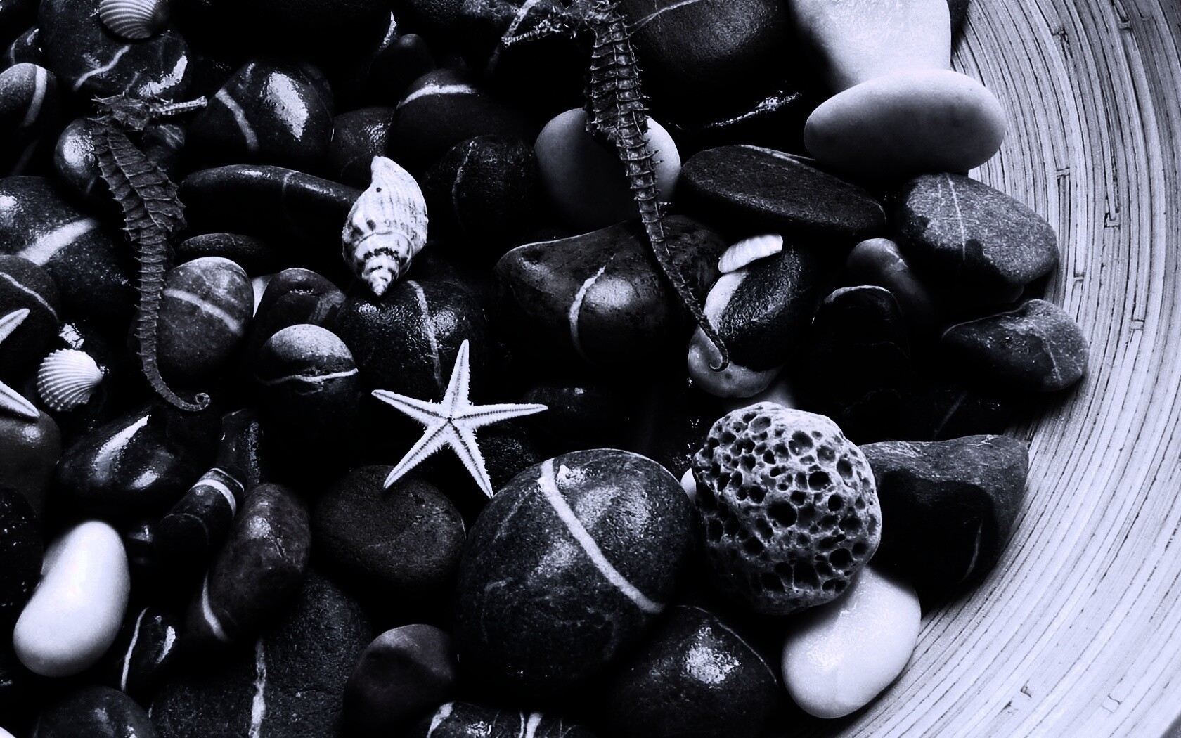 Морские камешки и фауна обои