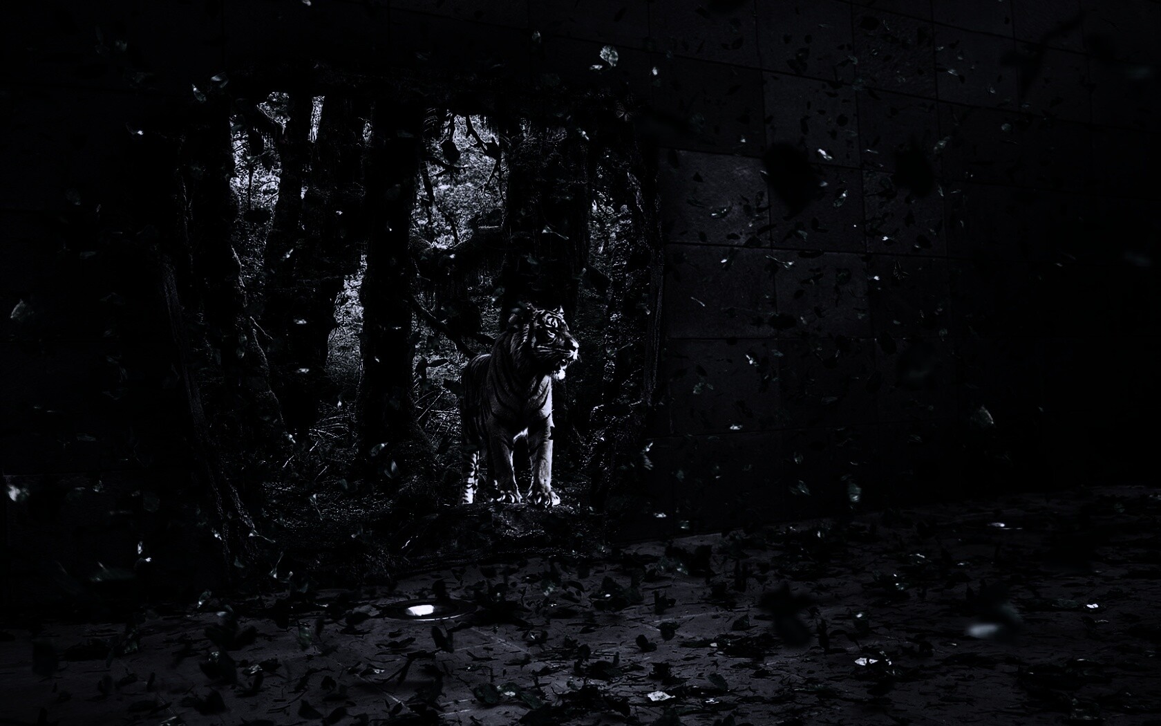 Портал в джунги обои