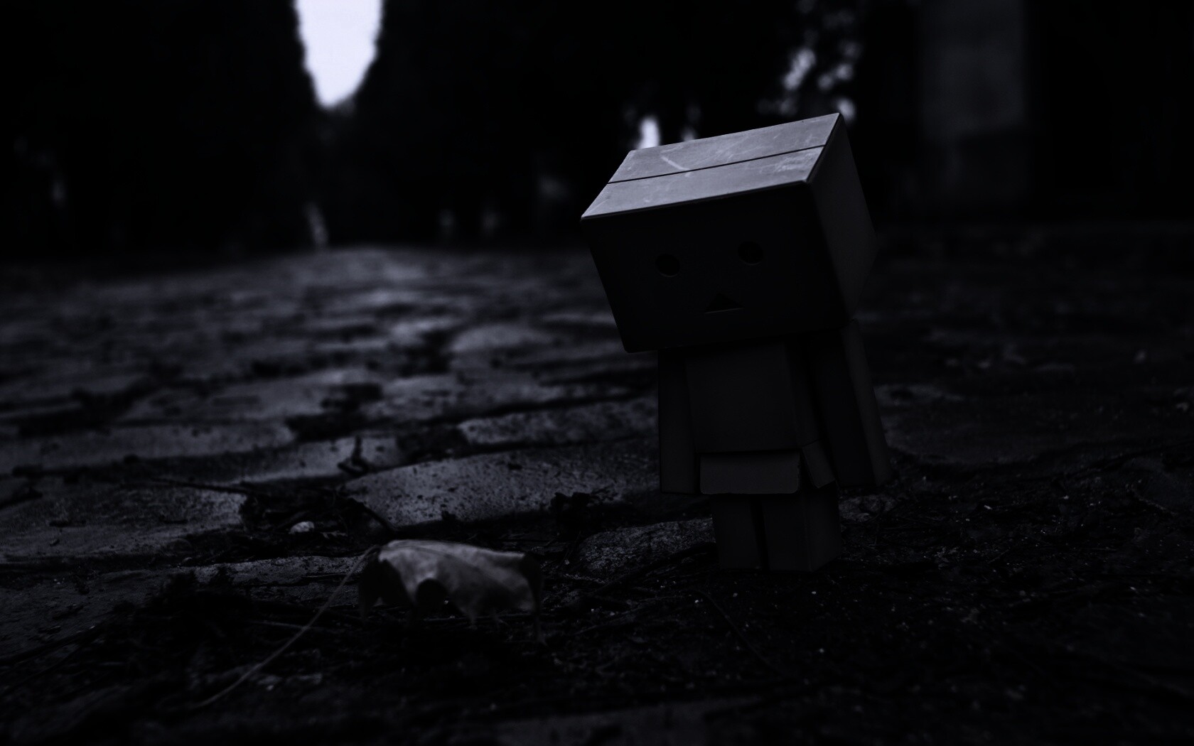 Danbo и первый осенний лист обои