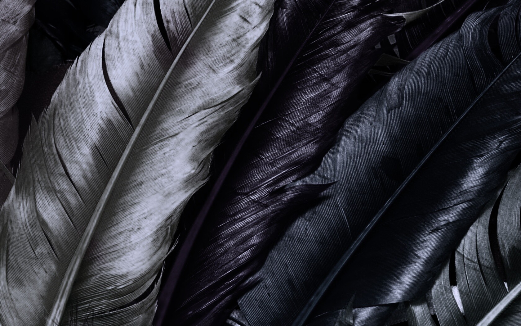 Разноцветные перья обои