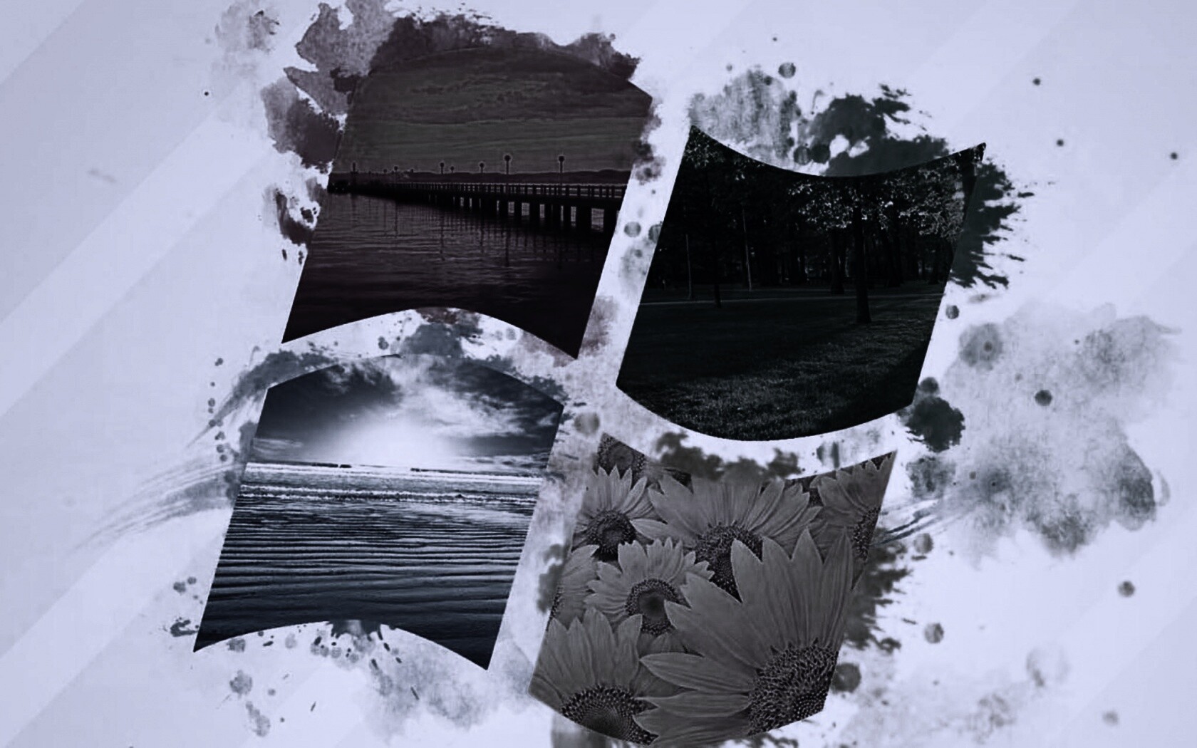 Логотип Winfdows bз фотографий природы обои