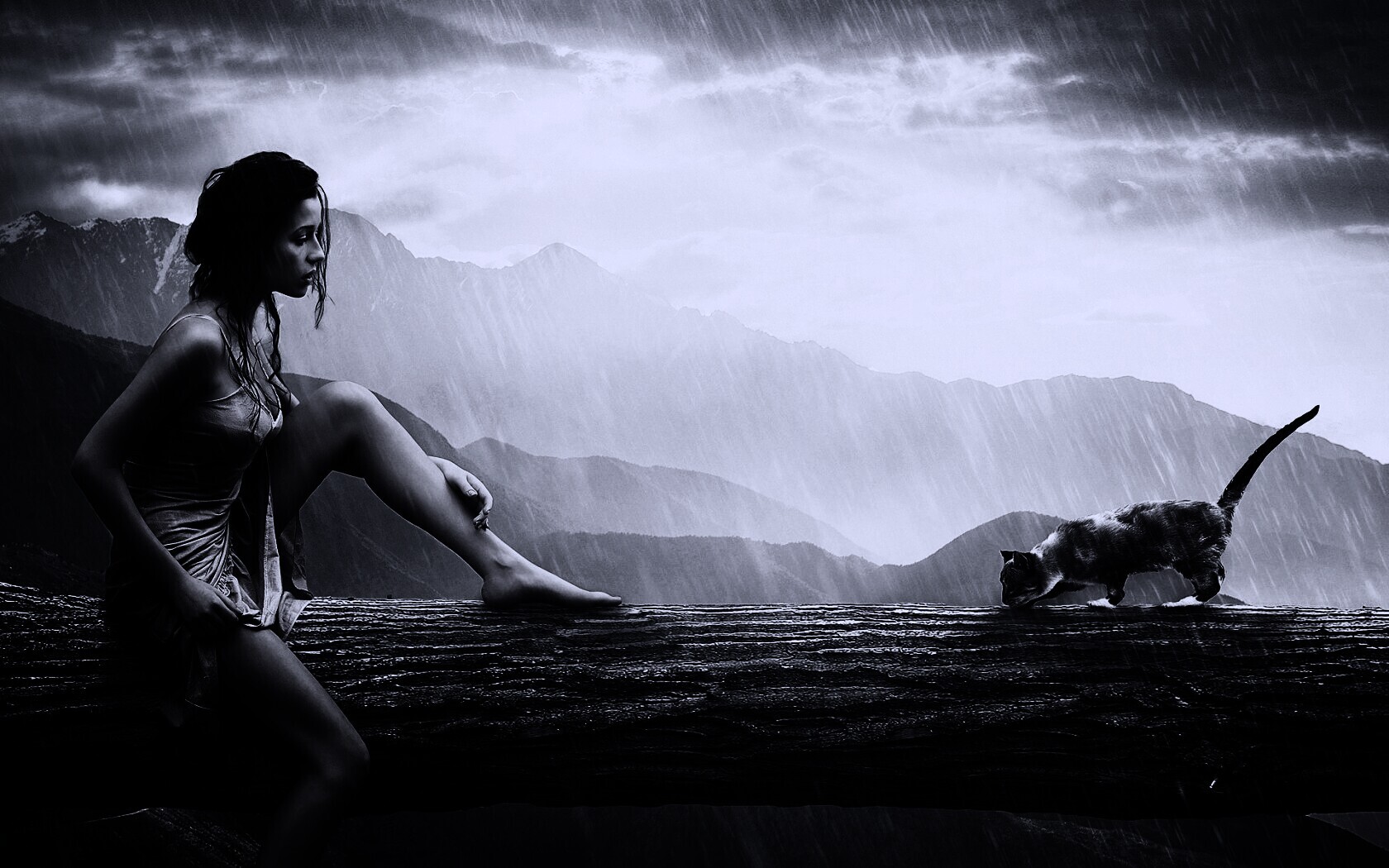 Девушка и кошка обои