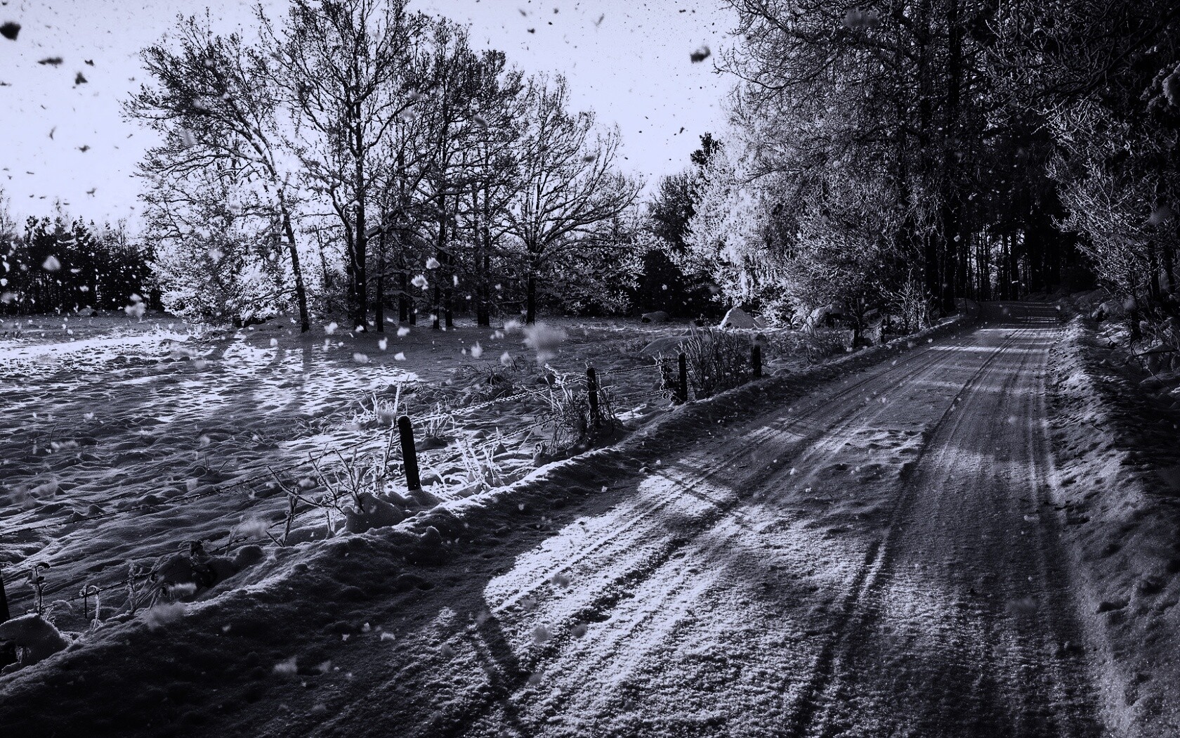 Снежная дорога залитая солнцем обои