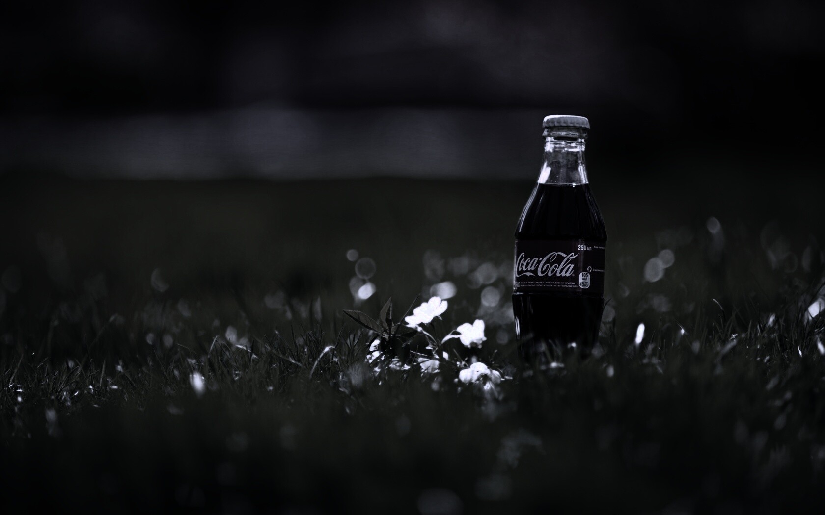 Кока-Кола на траве обои