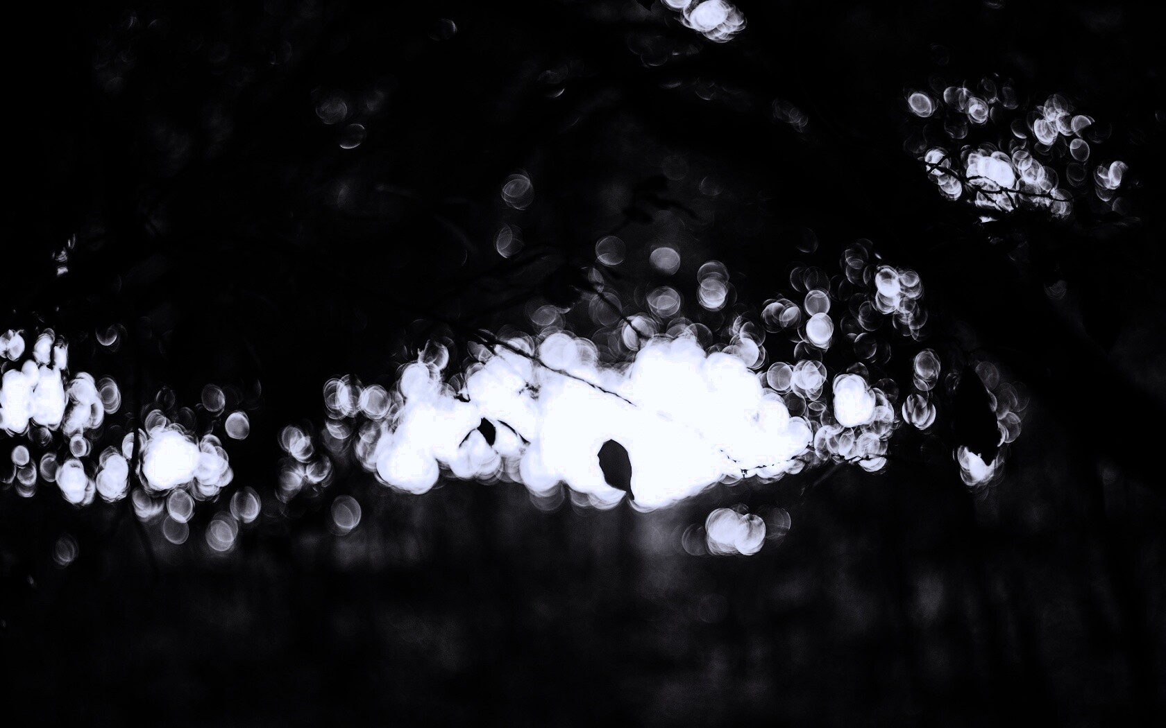 Размытый свет в парке обои