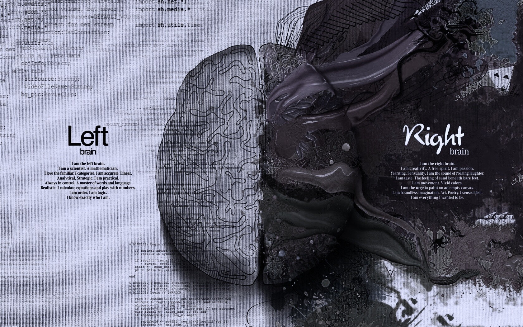Различия левого и правого полушария обои