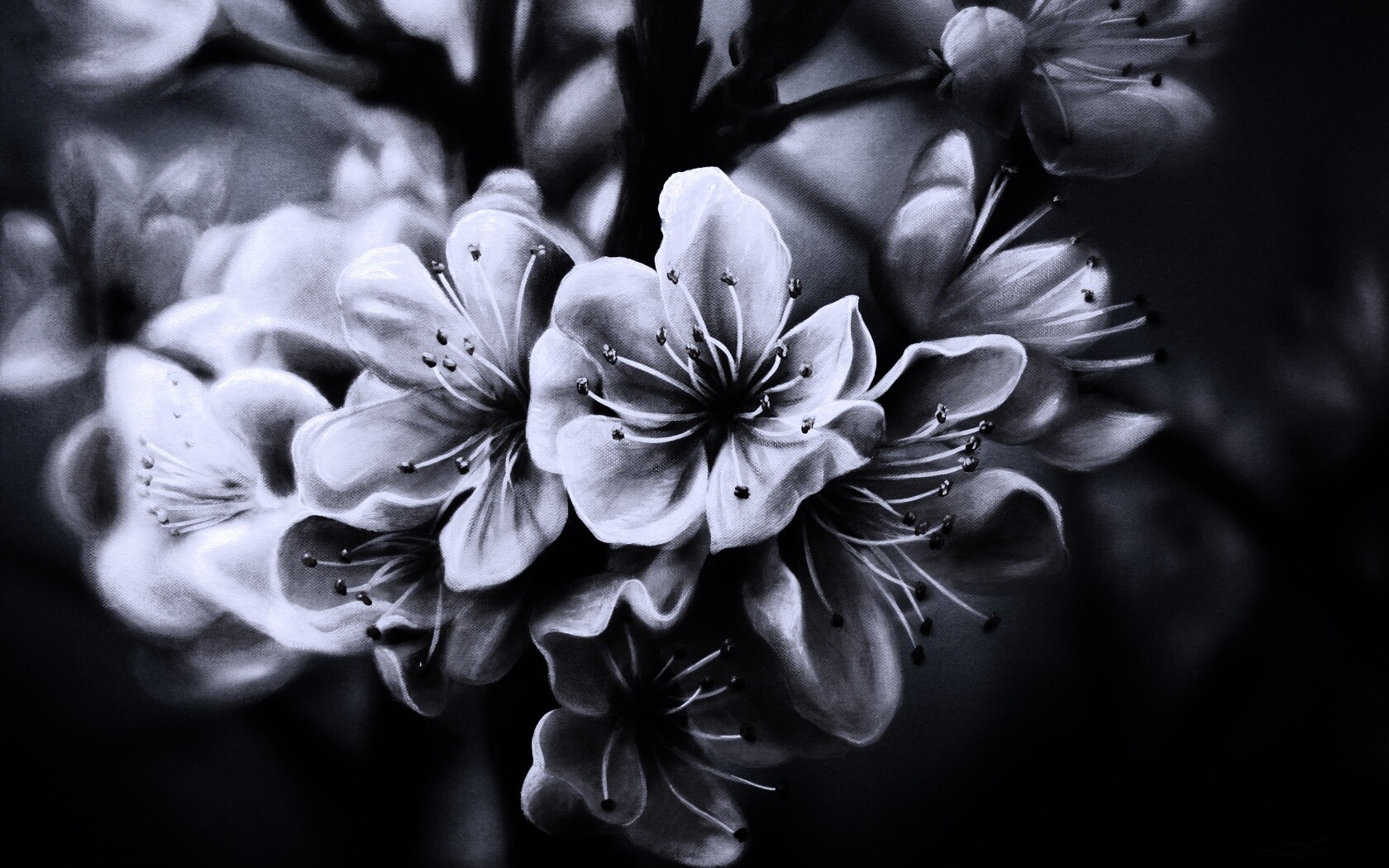 Яблоня в цвету картина обои