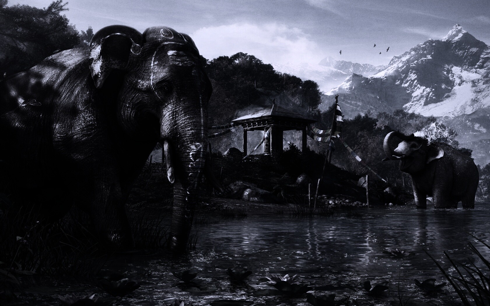 Слоники у воды обои