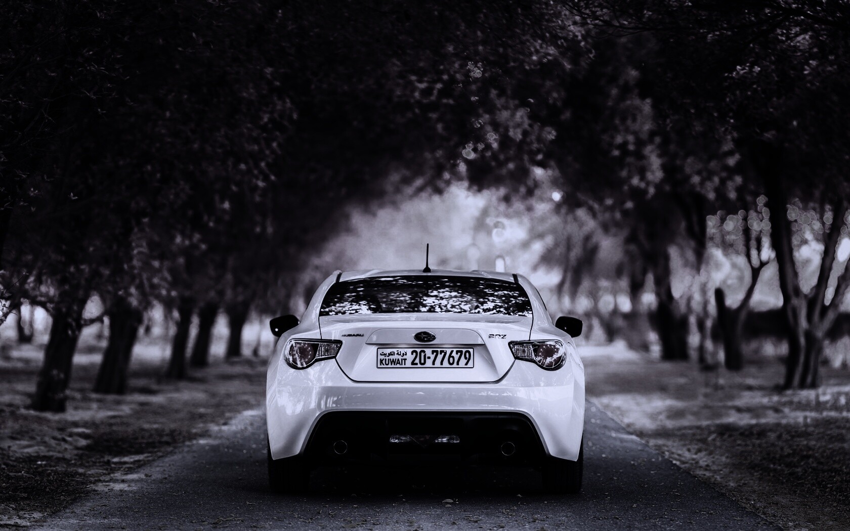 Субару на осенней дороге обои