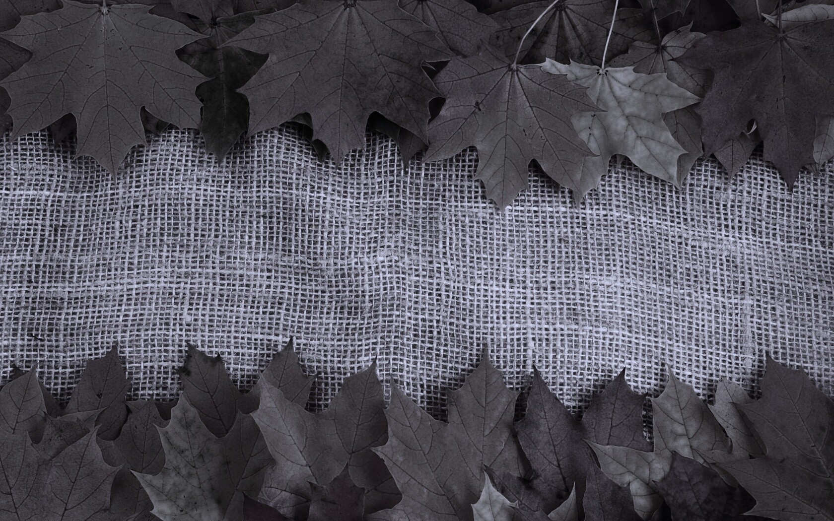 Желтые кленовые листья на холсте обои