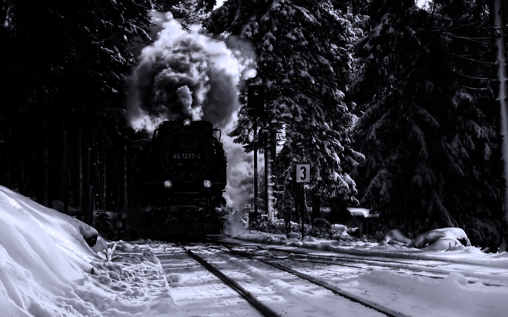 Паровоз в димнем лесу обои