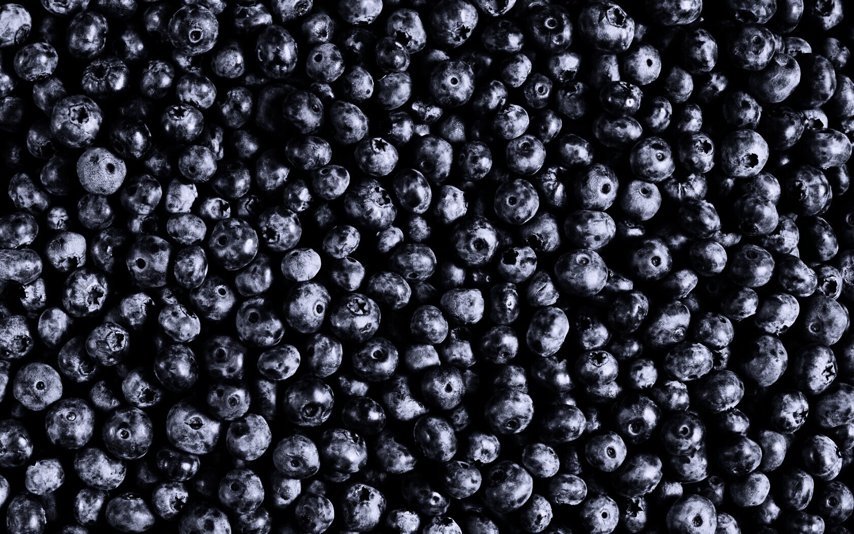 Черника обои