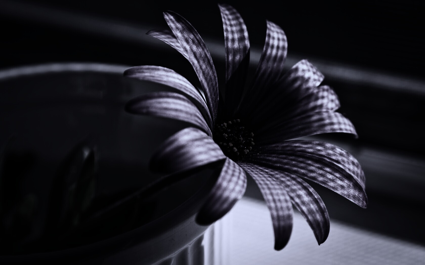 Сиреневый цветок в стакане обои